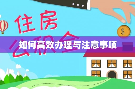 夏津如何高效办理与注意事项