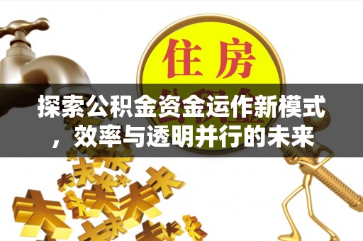 夏津探索公积金资金运作新模式，效率与透明并行的未来