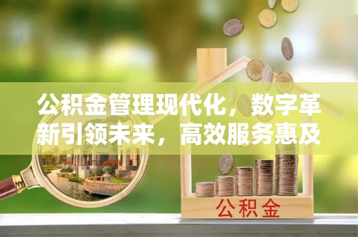 夏津公积金管理现代化，数字革新引领未来，高效服务惠及民生