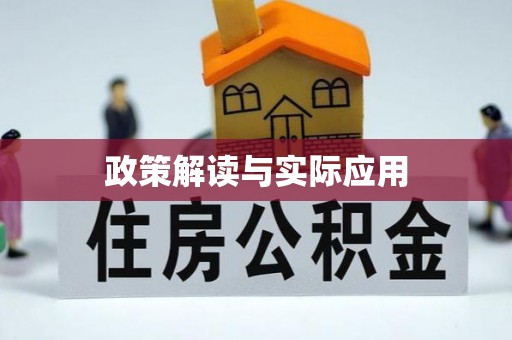 夏津政策解读与实际应用
