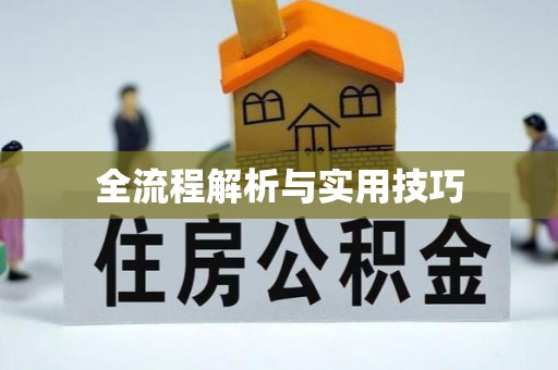 夏津全流程解析与实用技巧