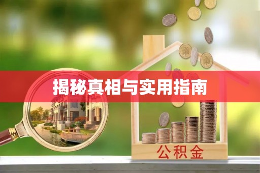 夏津揭秘真相与实用指南