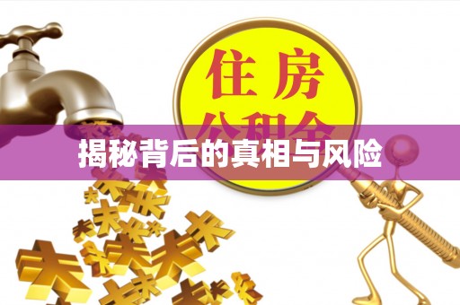 夏津揭秘背后的真相与风险
