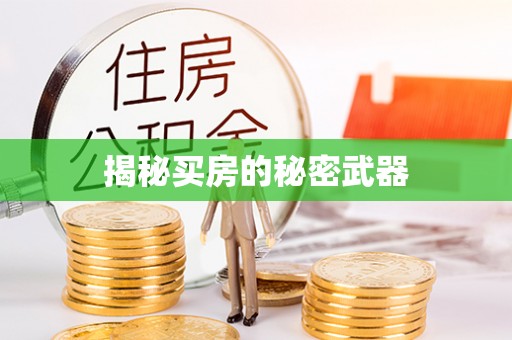 夏津揭秘买房的秘密武器