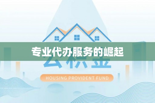夏津专业代办服务的崛起