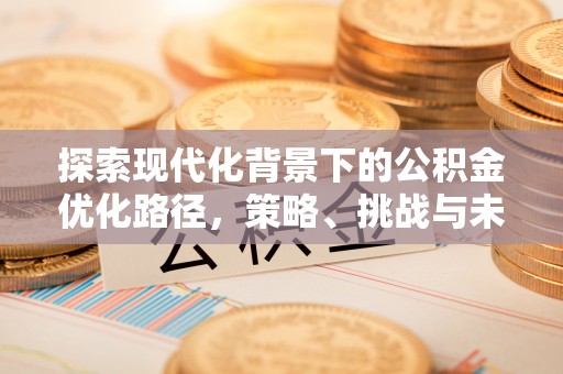夏津探索现代化背景下的公积金优化路径，策略、挑战与未来展望