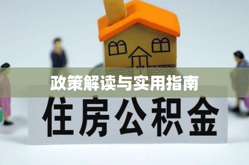 夏津政策解读与实用指南