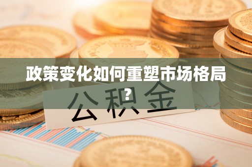 夏津政策变化如何重塑市场格局？