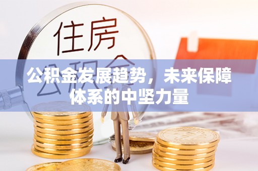 夏津公积金发展趋势，未来保障体系的中坚力量