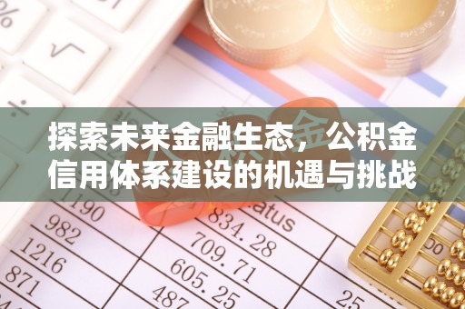 夏津探索未来金融生态，公积金信用体系建设的机遇与挑战