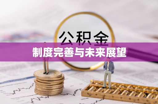 夏津制度完善与未来展望