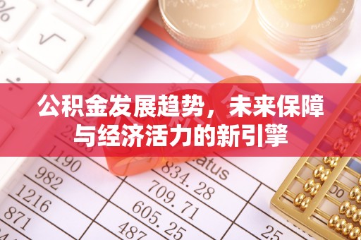 夏津公积金发展趋势，未来保障与经济活力的新引擎