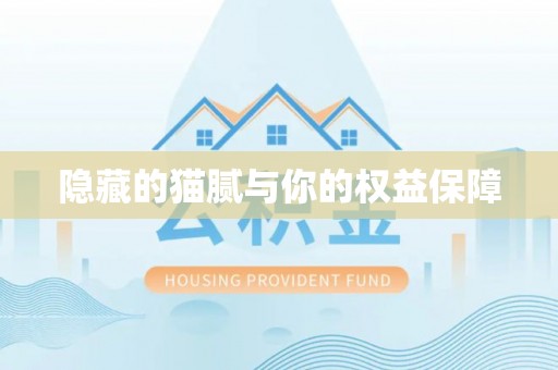 夏津隐藏的猫腻与你的权益保障