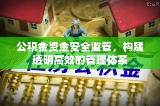 夏津公积金资金安全监管，构建透明高效的管理体系