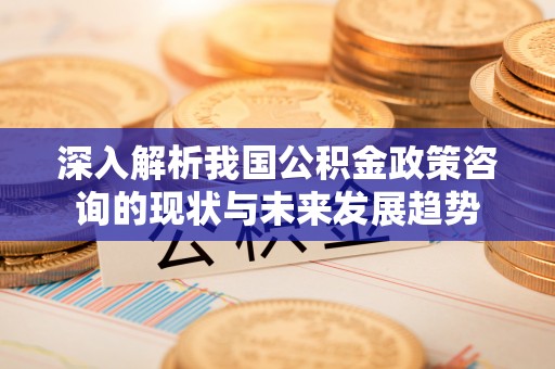 夏津深入解析我国公积金政策咨询的现状与未来发展趋势