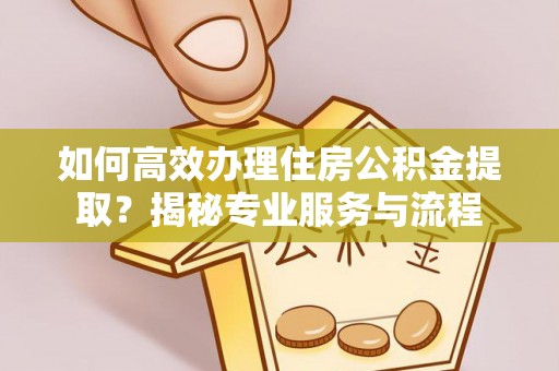 夏津如何高效办理住房公积金提取？揭秘专业服务与流程