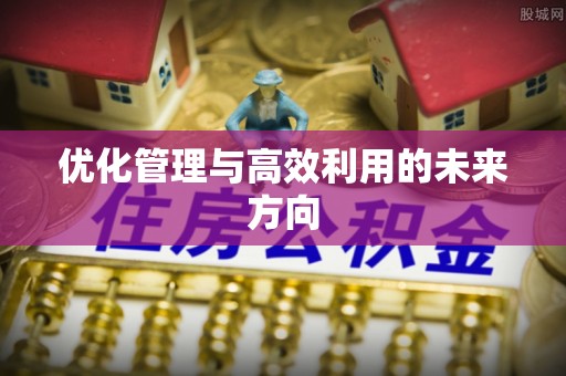 夏津优化管理与高效利用的未来方向