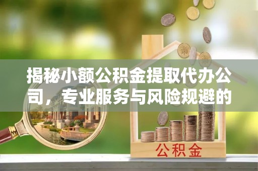 夏津揭秘小额公积金提取代办公司，专业服务与风险规避的平衡艺术