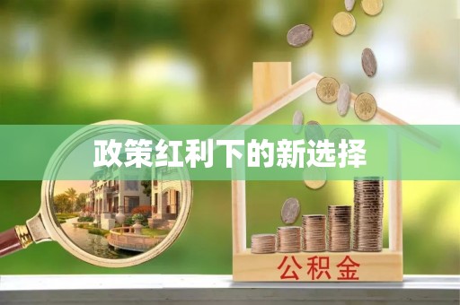 夏津政策红利下的新选择