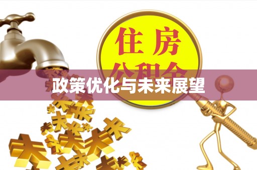 夏津政策优化与未来展望