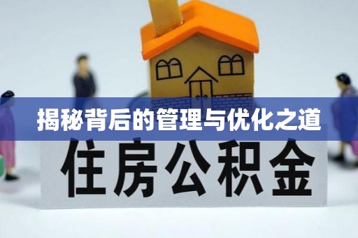 夏津揭秘背后的管理与优化之道