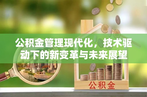 夏津公积金管理现代化，技术驱动下的新变革与未来展望