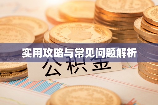 夏津实用攻略与常见问题解析