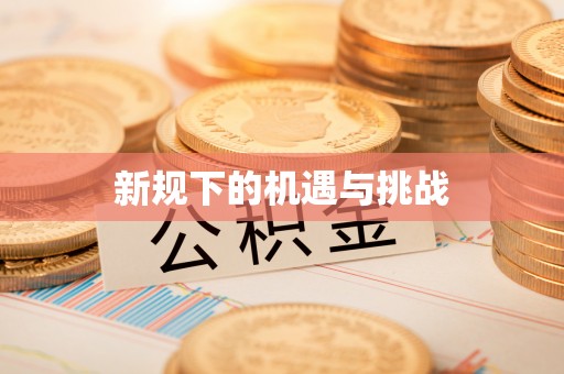 夏津新规下的机遇与挑战