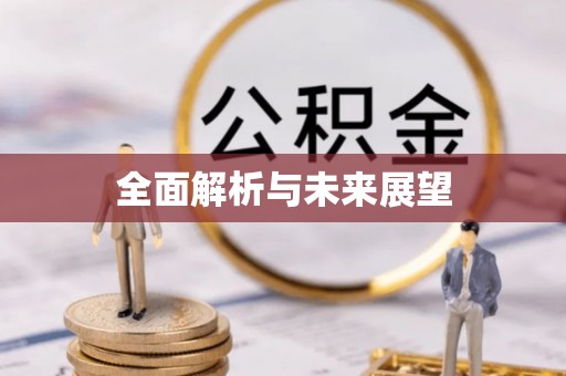 夏津全面解析与未来展望