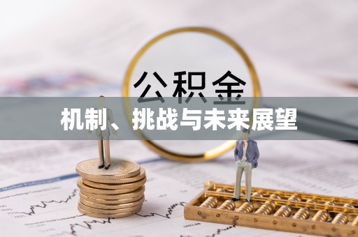 夏津机制、挑战与未来展望