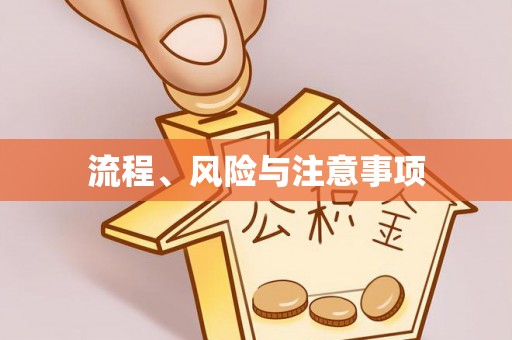 夏津流程、风险与注意事项